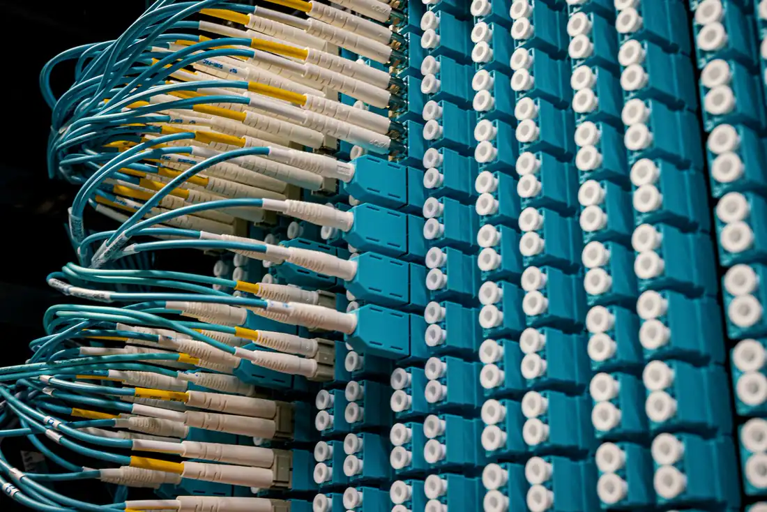 Many fiber optic cables seated in a blue patch panel