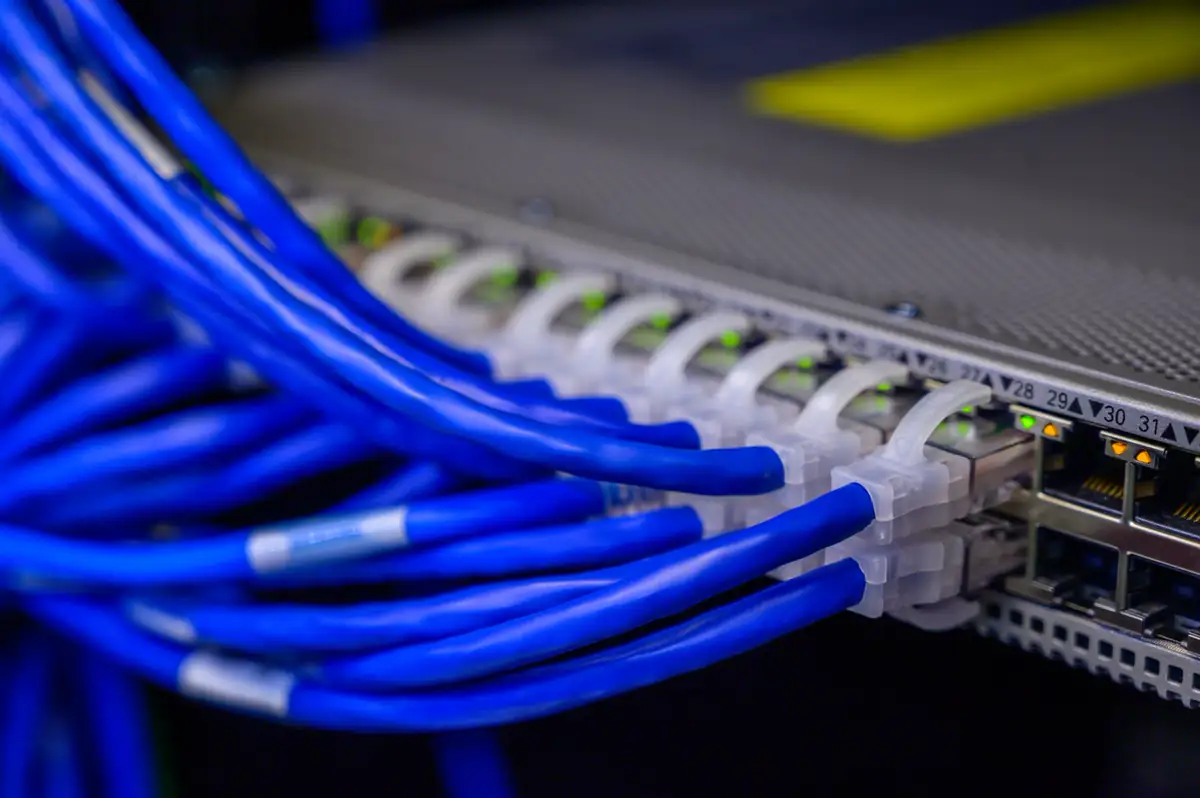 Blue ethernet cables plugged into a network switch with link lights on